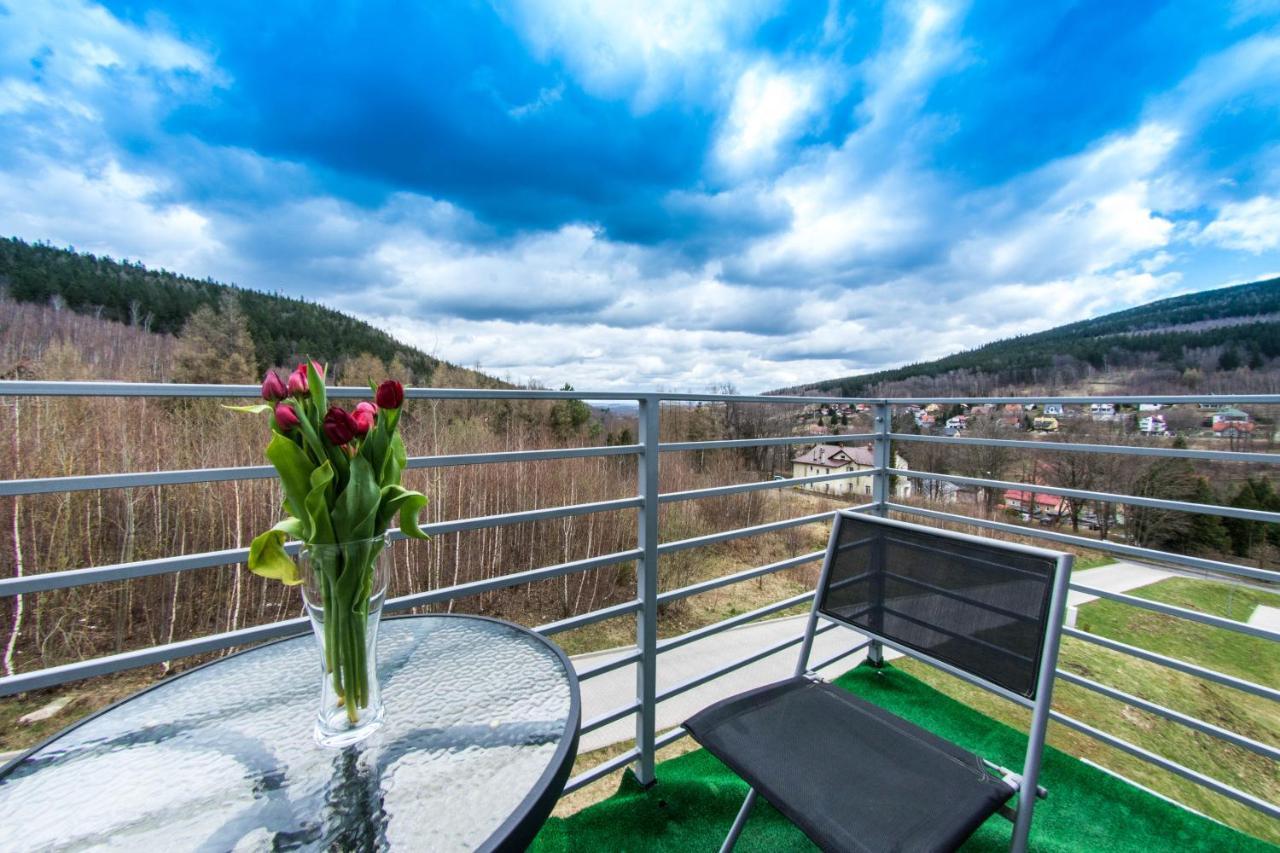 Apartamenty Izerskie - Ul. Cicha 13H-I Świeradów-Zdrój エクステリア 写真