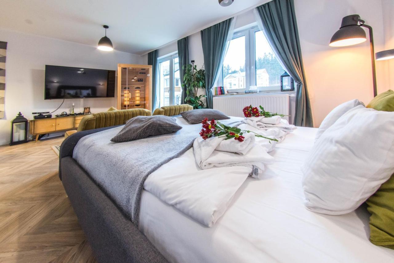 Apartamenty Izerskie - Ul. Cicha 13H-I Świeradów-Zdrój エクステリア 写真