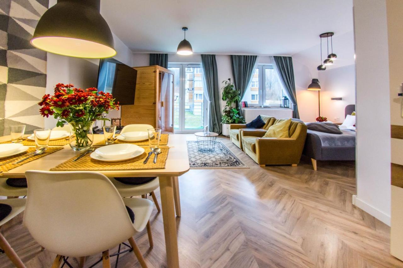 Apartamenty Izerskie - Ul. Cicha 13H-I Świeradów-Zdrój エクステリア 写真