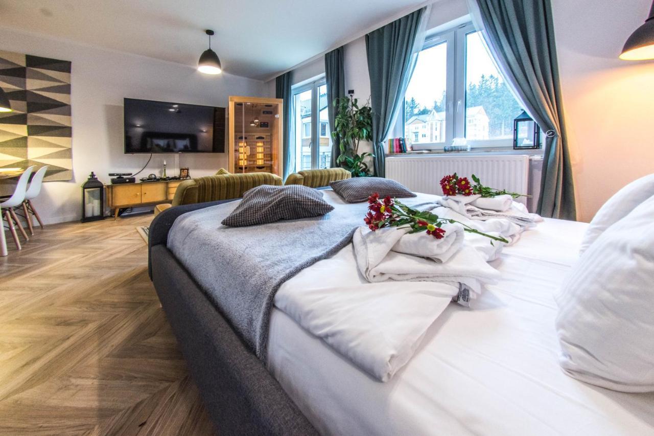 Apartamenty Izerskie - Ul. Cicha 13H-I Świeradów-Zdrój エクステリア 写真