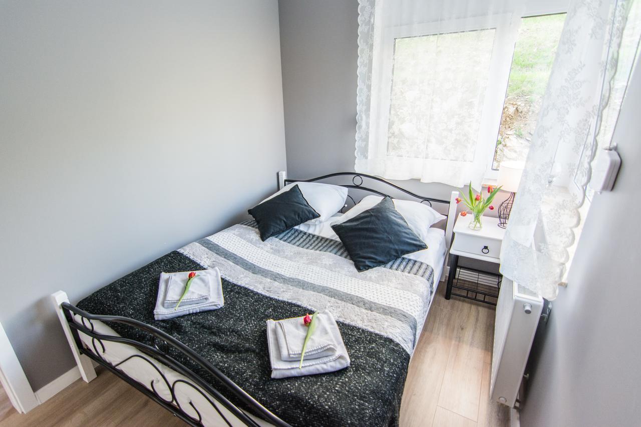 Apartamenty Izerskie - Ul. Cicha 13H-I Świeradów-Zdrój エクステリア 写真