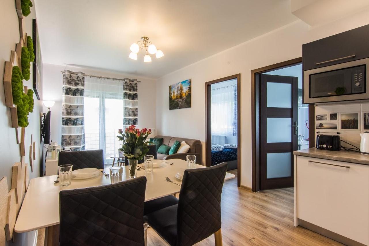 Apartamenty Izerskie - Ul. Cicha 13H-I Świeradów-Zdrój エクステリア 写真