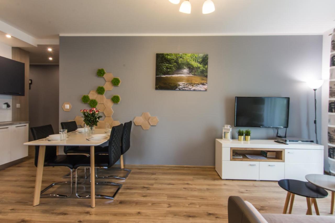 Apartamenty Izerskie - Ul. Cicha 13H-I Świeradów-Zdrój エクステリア 写真