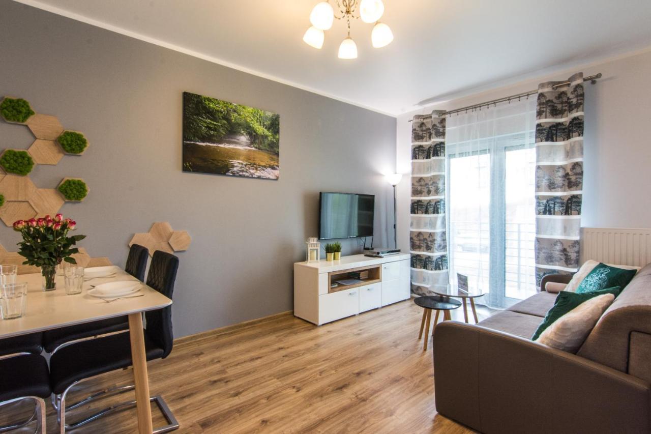 Apartamenty Izerskie - Ul. Cicha 13H-I Świeradów-Zdrój エクステリア 写真